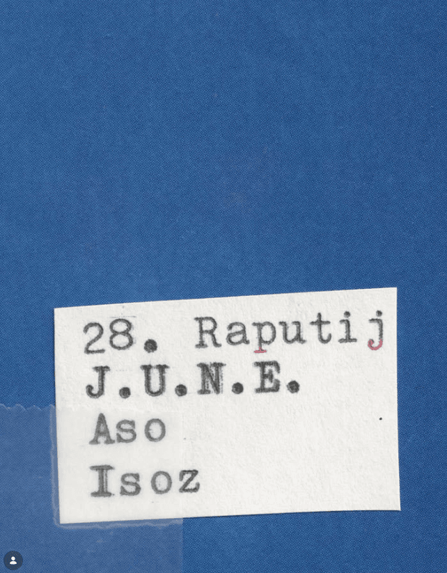 Raputij