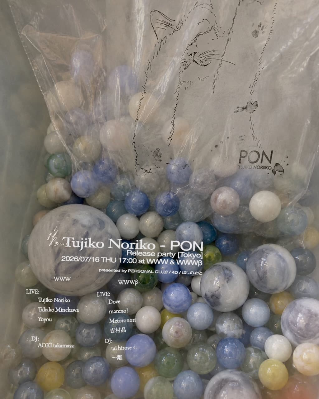 Tujiko Noriko -PON Release party- Tokyo presented by PERSONAL CLUβ / 4D /
