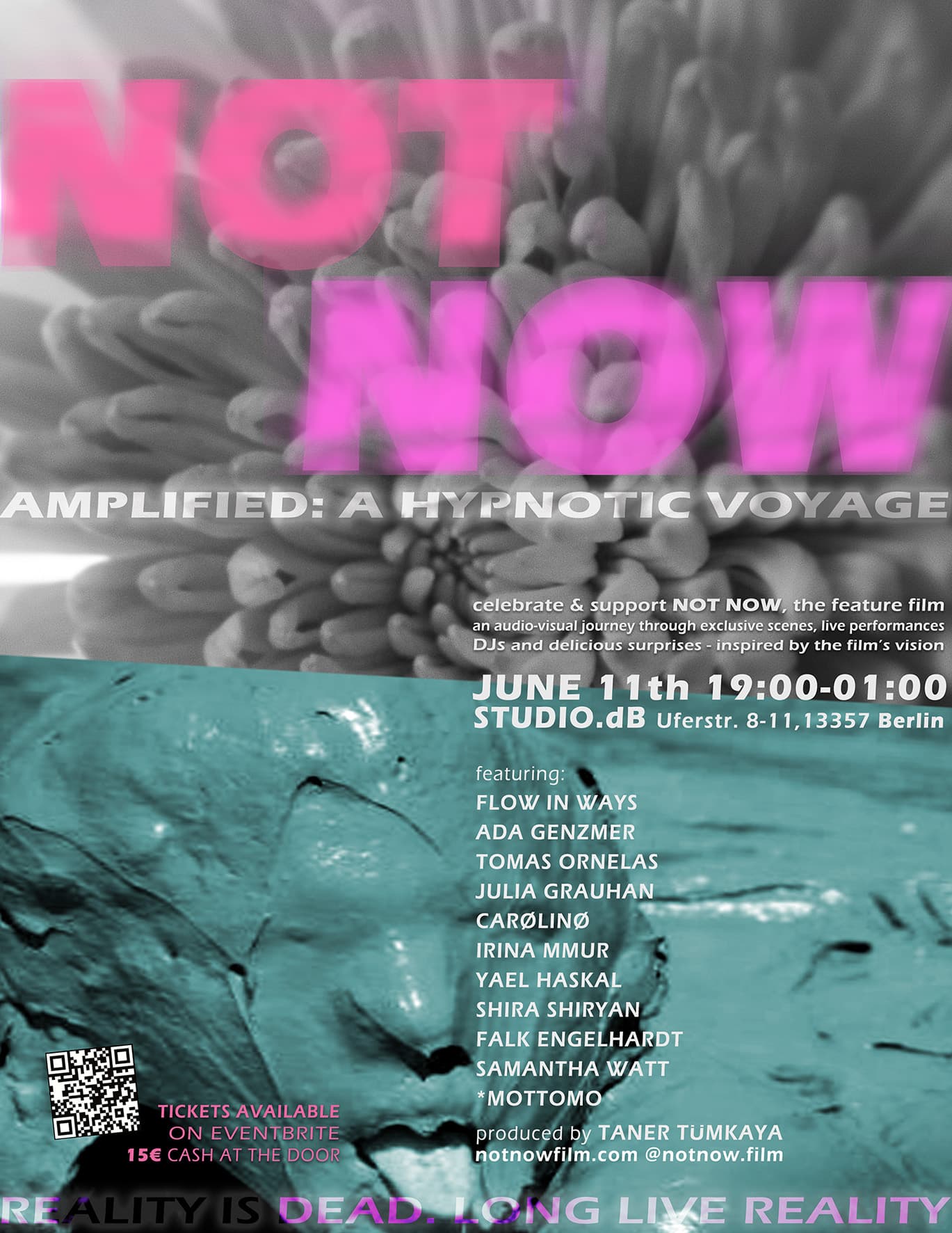 NOT NOW AMPLIFIED