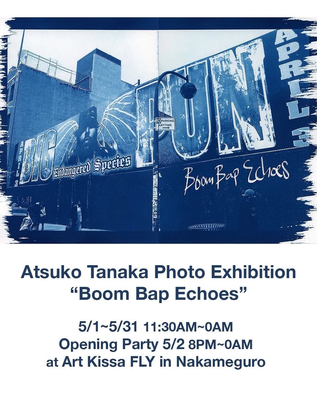Boom Bap Echoes Opening Party