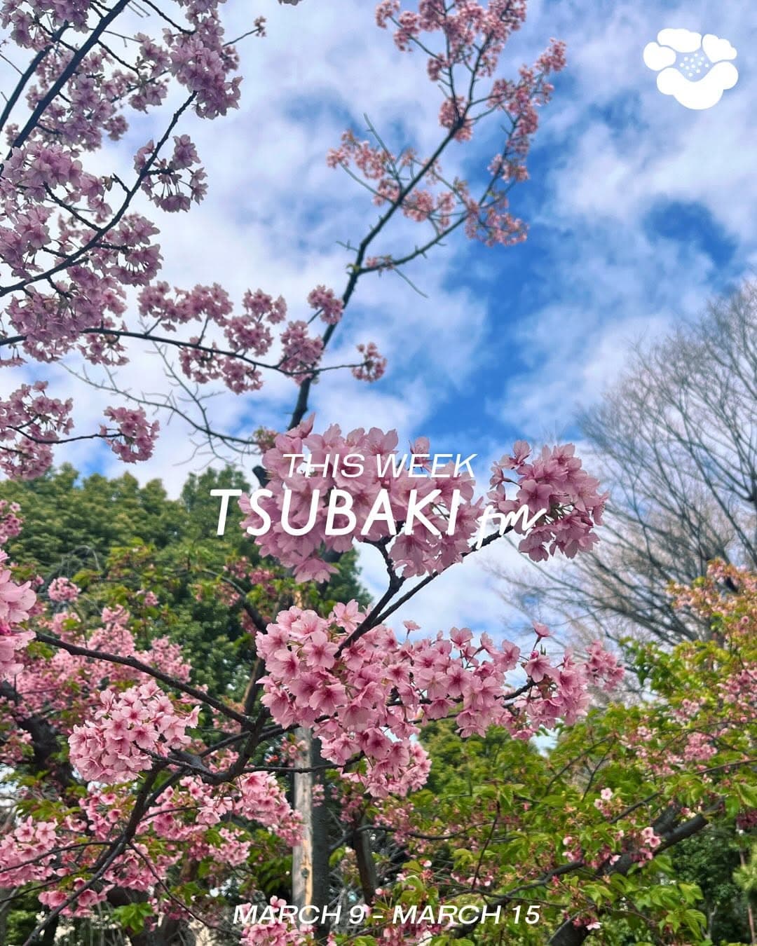 TSUBAKI fm Weekly Schedule