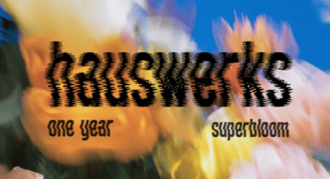 Hauswerks 1 Year Anniversary — SUPERBLOOM