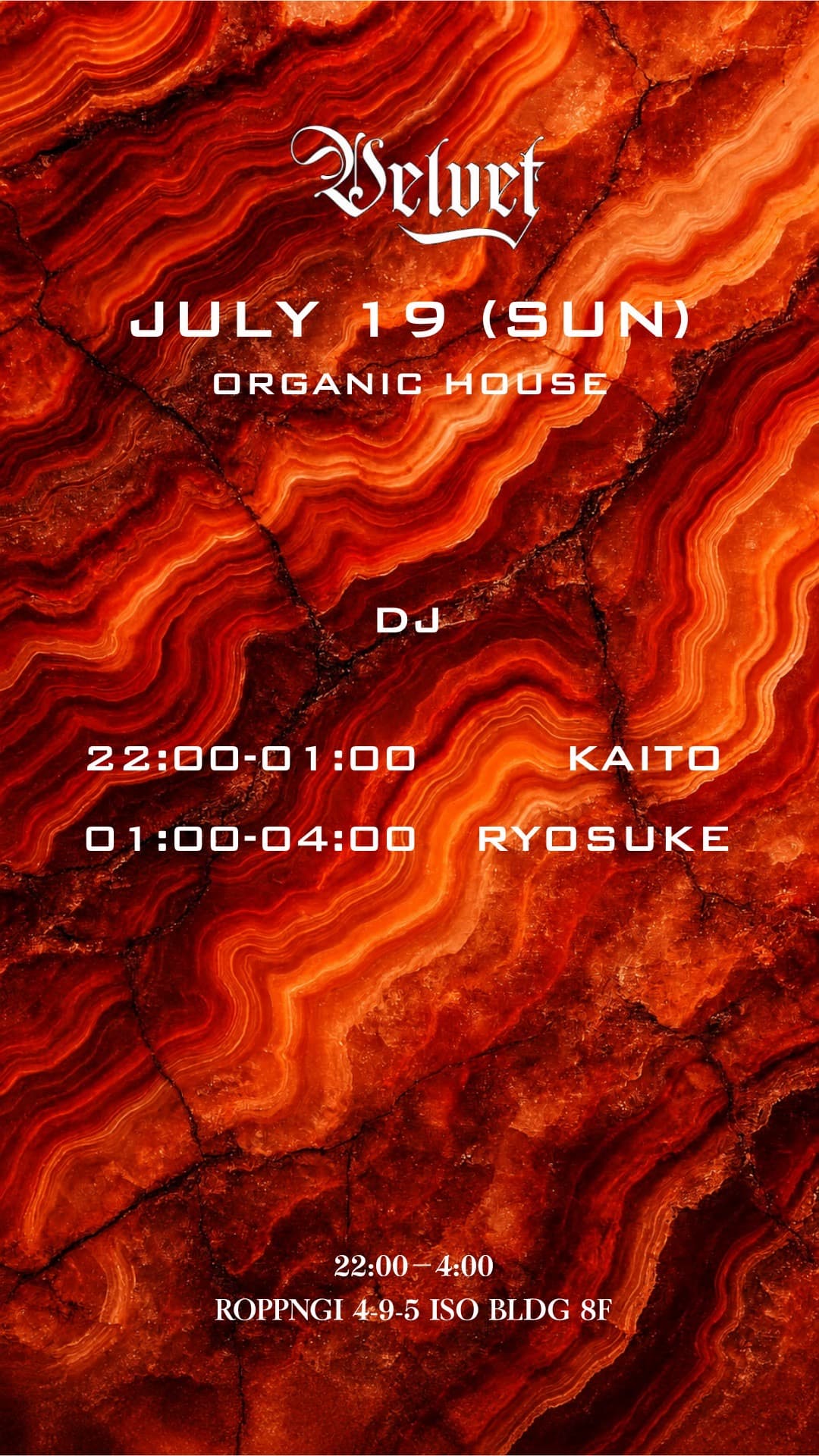 VELVET Lounge -Organic House-
