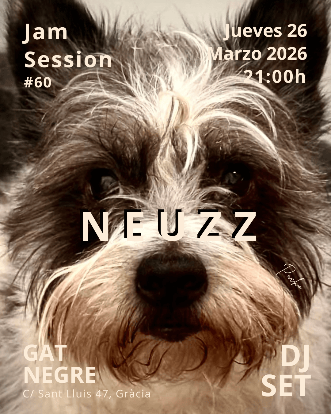 NEUZZ - Dj Set - Jam Session 60 - Free