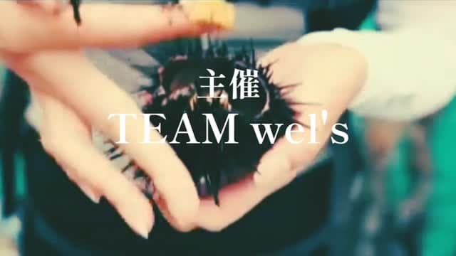 wel.s NS Music Festival Vol. 14