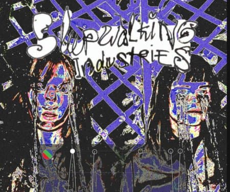 MissVergnügen presents SLEEPWALKING INDUSTRIES - live