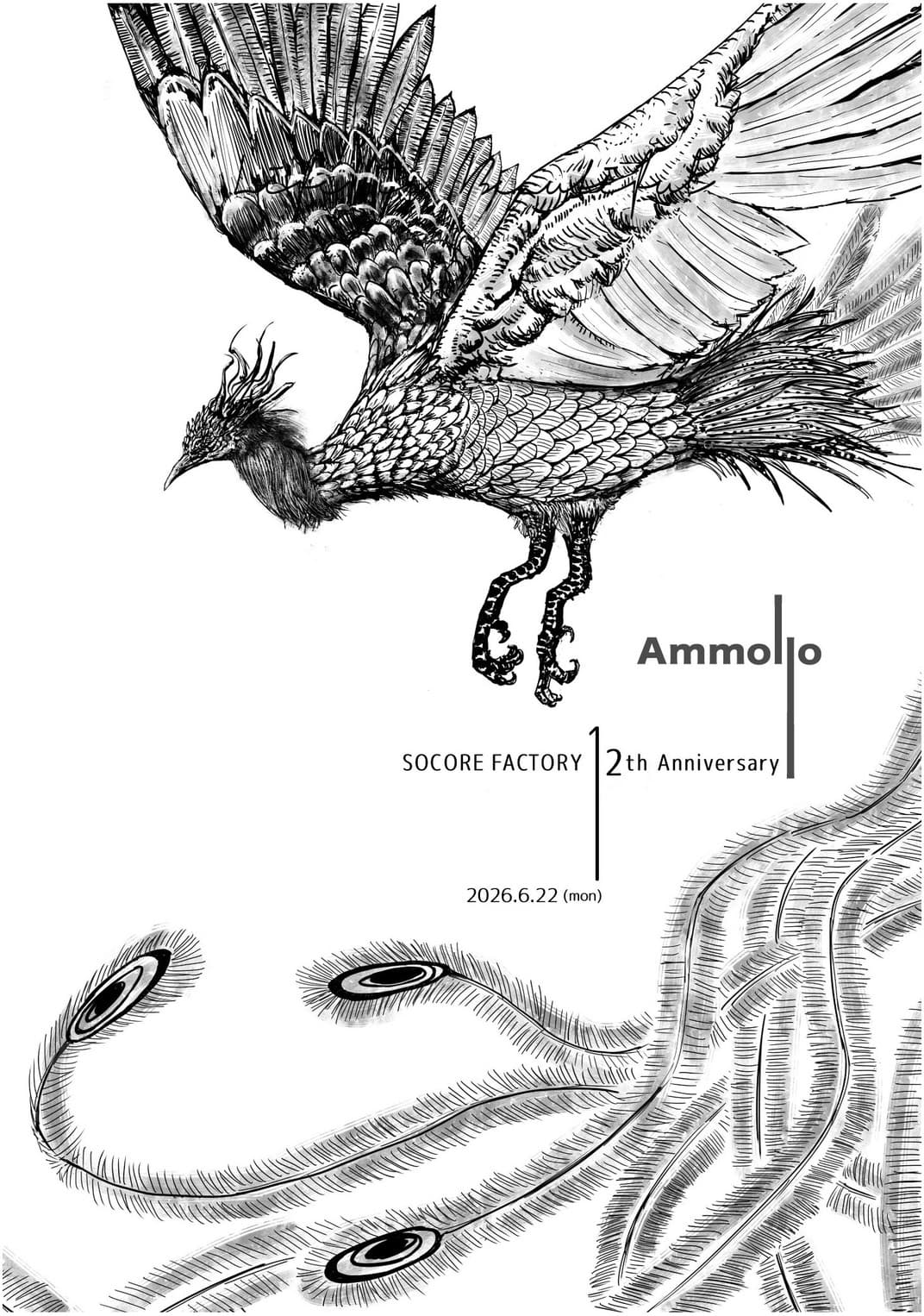 Ammollo