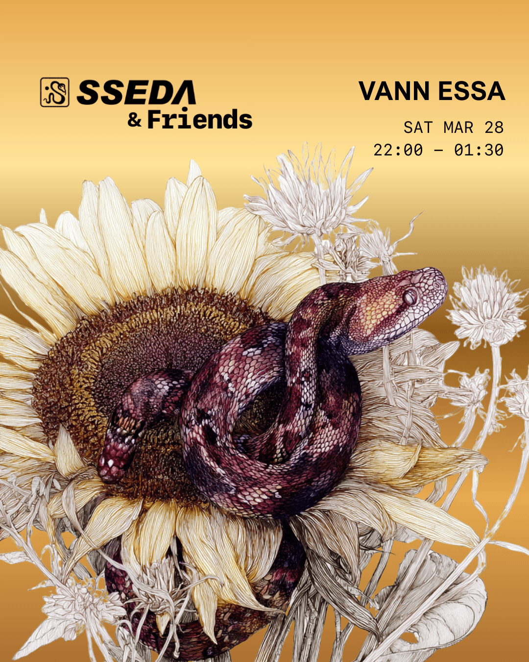 SSEDA & Friends: Vann Essa