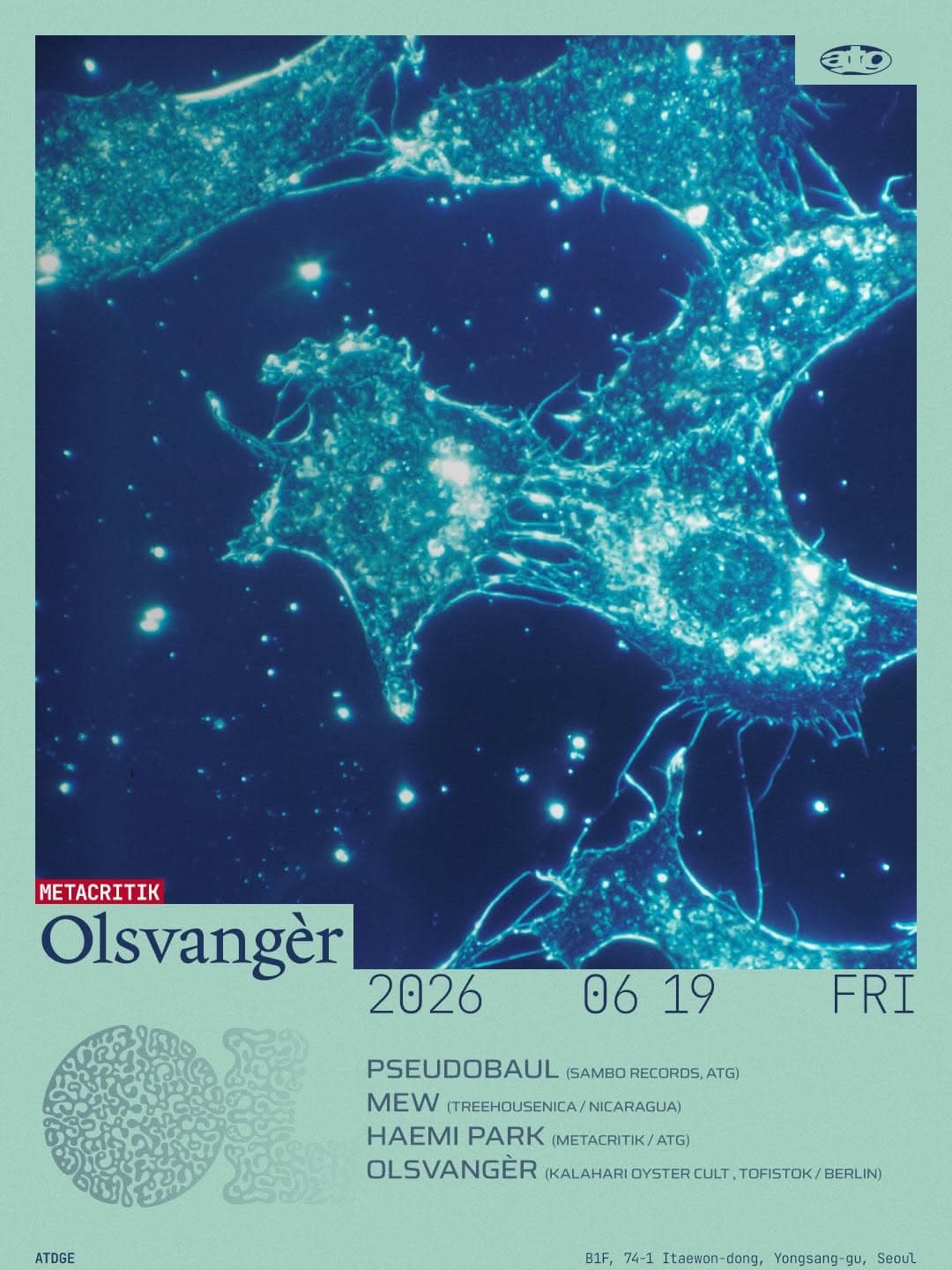 Metacritik : Olsvangèr