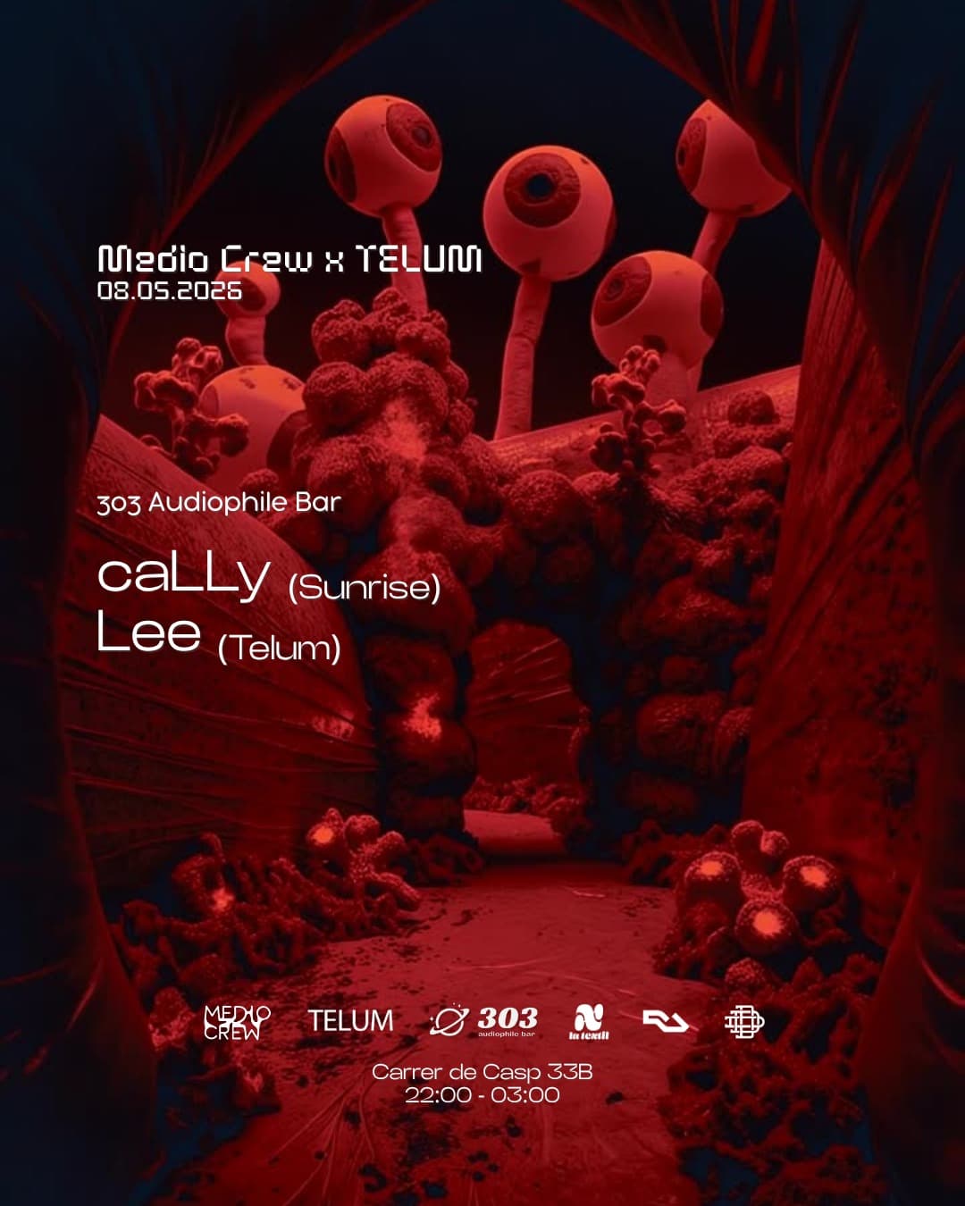 Medio Crew x TELUM pres. caLLy (Ro) at 303