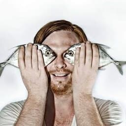 Franky Greiner