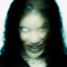 salemvex