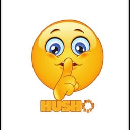 HUSH MUSIC PARTY