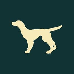 Radio de Koperen Hond