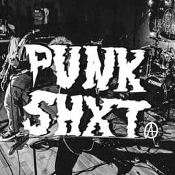 龐蟹 punkshxt!