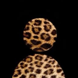 Ms. Bendecida
