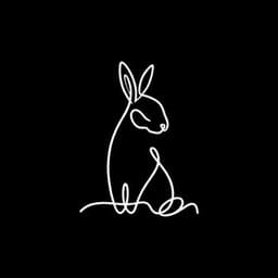 Follow the Rabbit Music