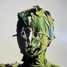 Terre Novæ