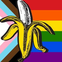 The Dandy Warhols