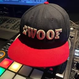 DJ Big Dog