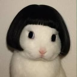 RABBITDISCO