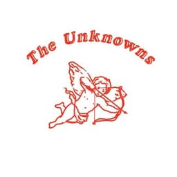 The Unknowns