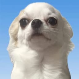 6.do
