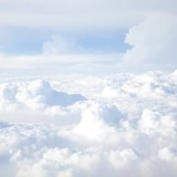 Wisdom Cloud