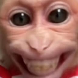 PHASTA
