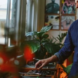 Vintage HiFi Plants