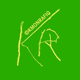 KMONRAFIQ