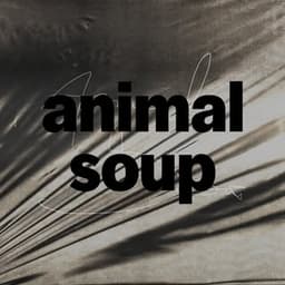 Animal Soup