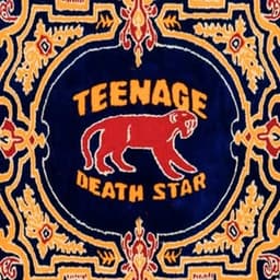 Teenage Death Star