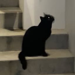 JIJI