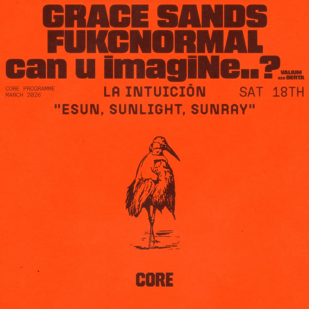 La Intuición: 'Sun, Sunlight, Sunray'