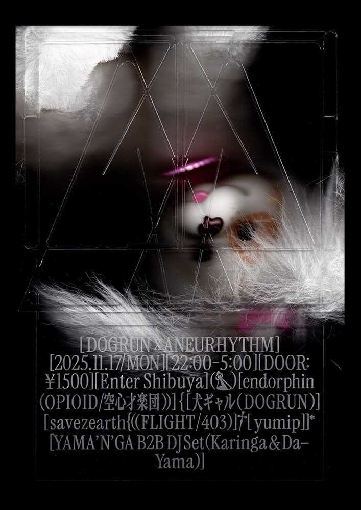 DOG RUN × ANEURHYTHM