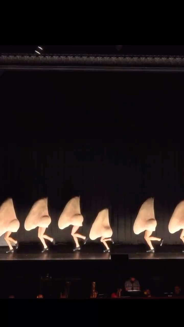Nasen tanzen / Dancing Noses