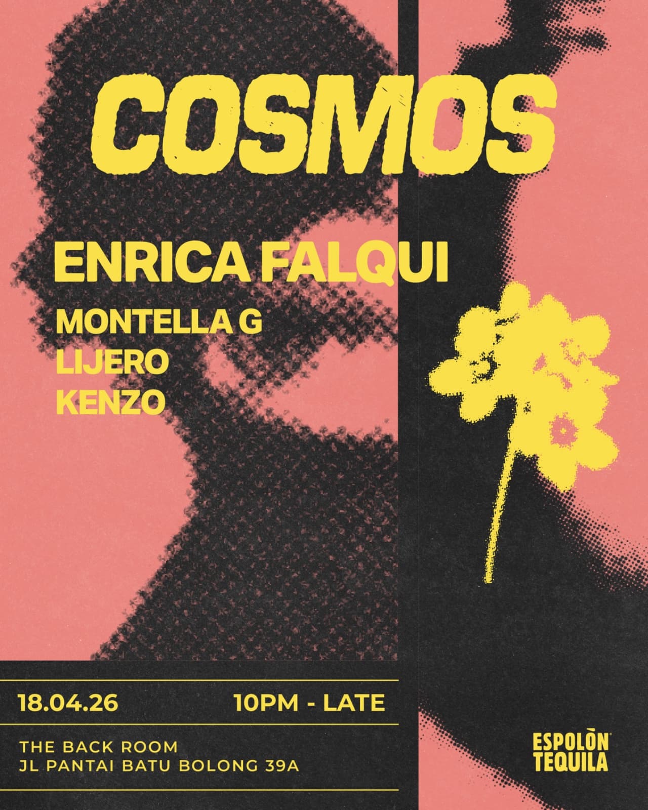 COSMOS W/ Enrica Falqui