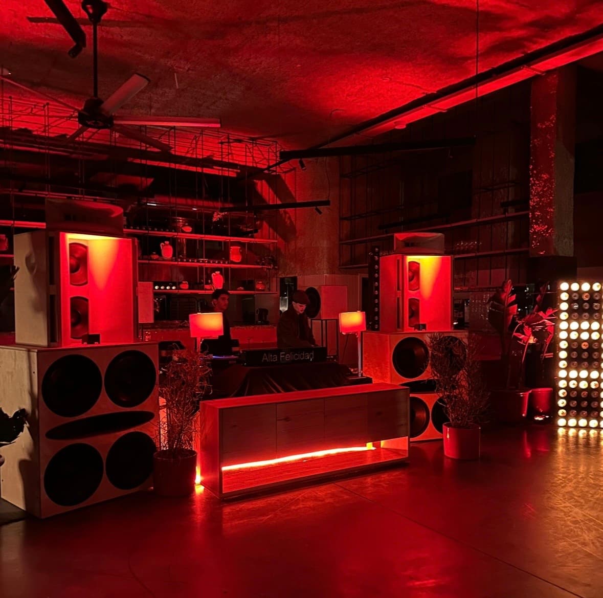Partisan & tHE GANG x Alta Fidelidad by Audiodise - AFTERBEACHPARTY