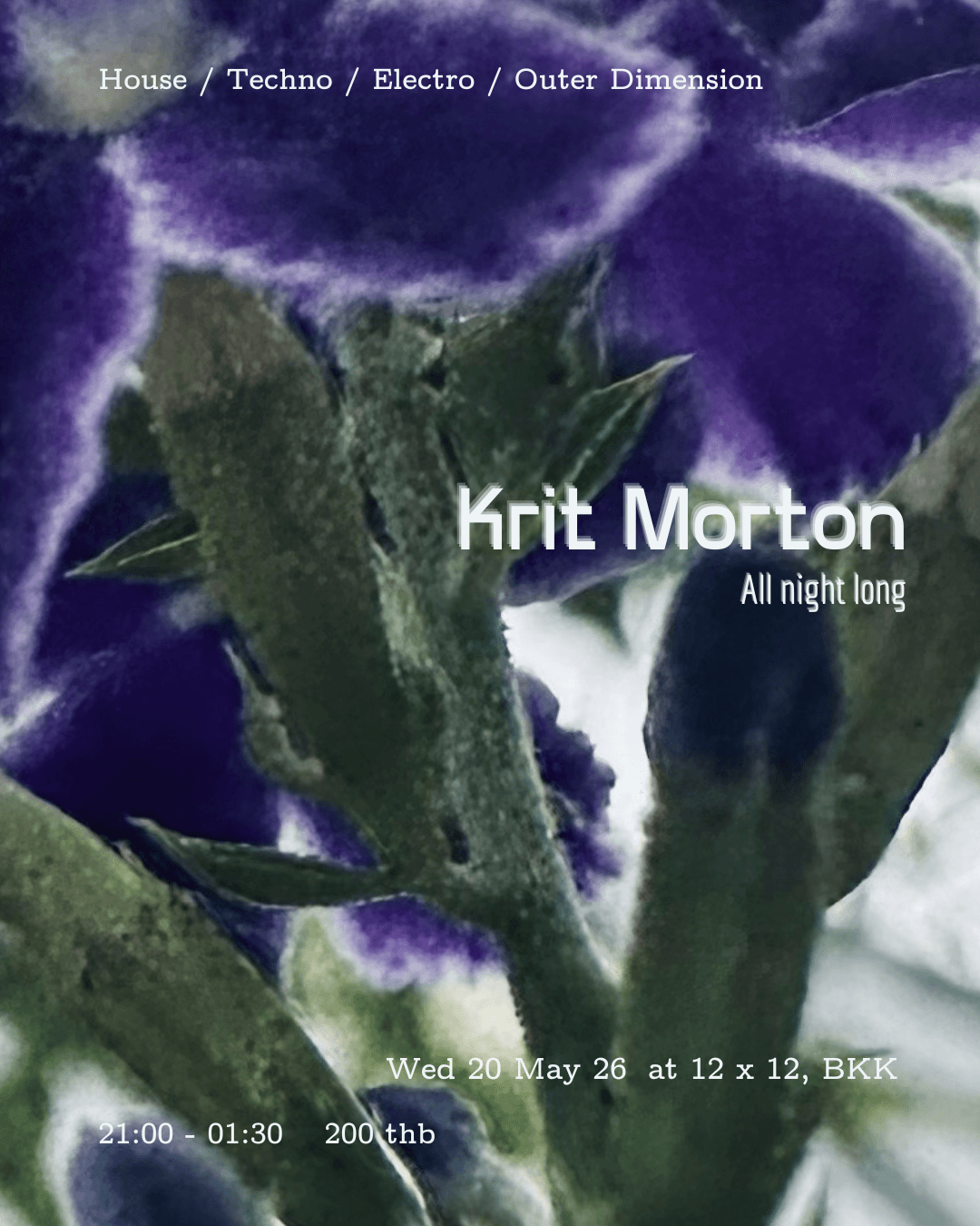 Krit Morton ..all night long