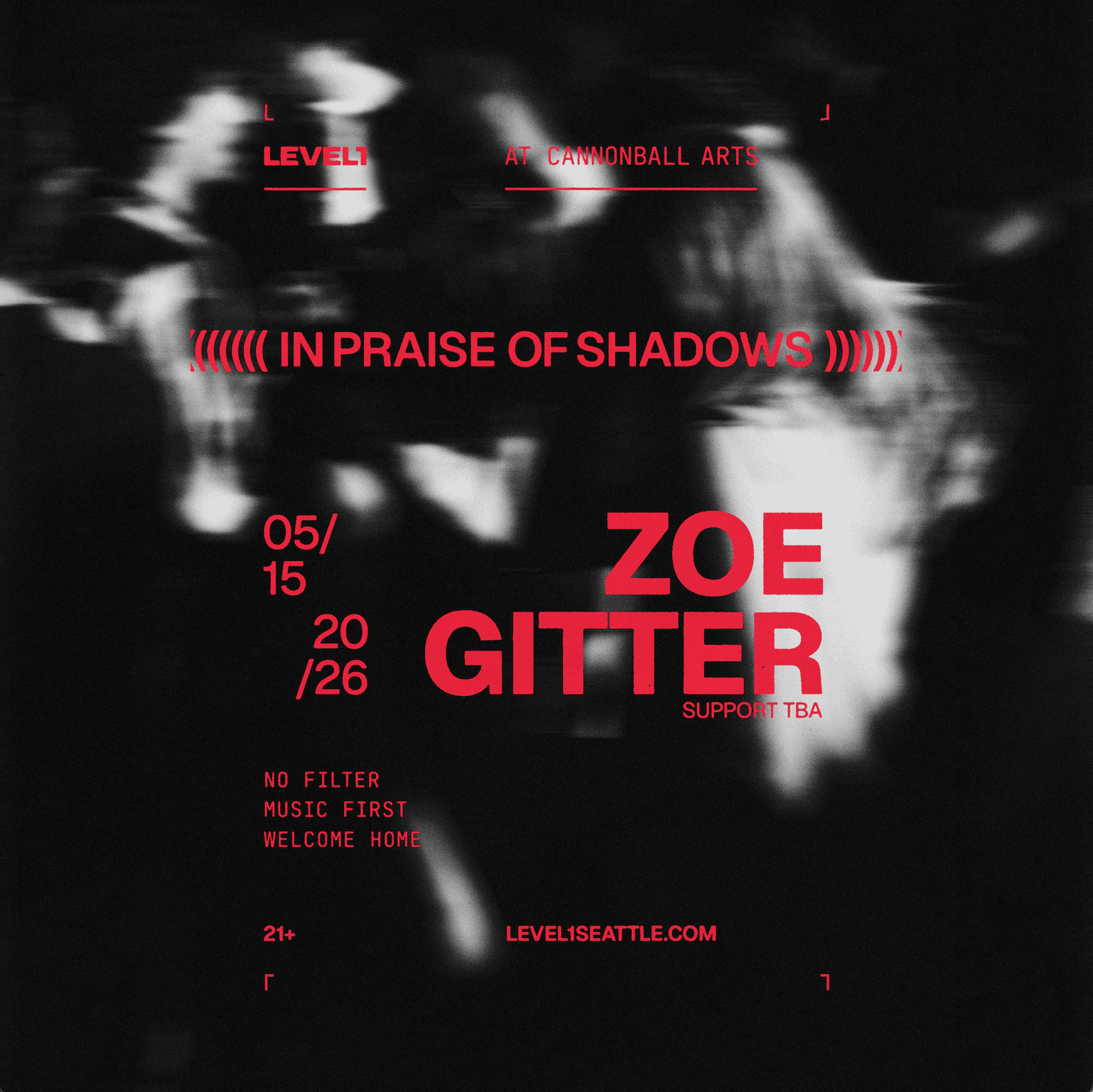 IN PRAISE OF SHADOWS: Zoe Gitter