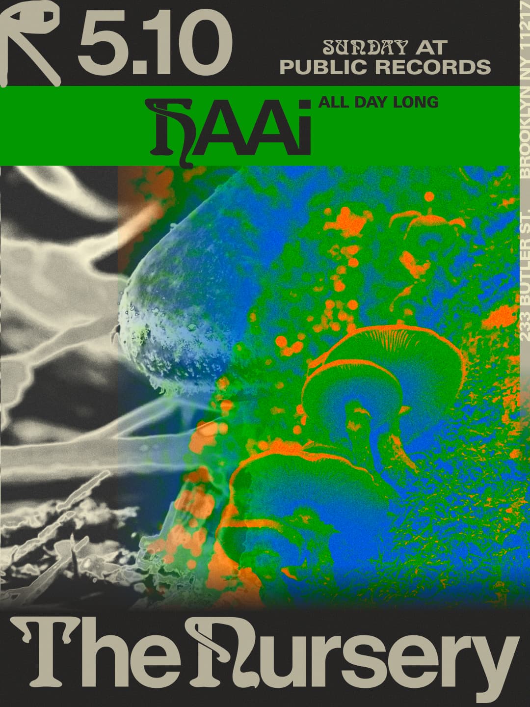 The Nursery: HAAi All Day Long