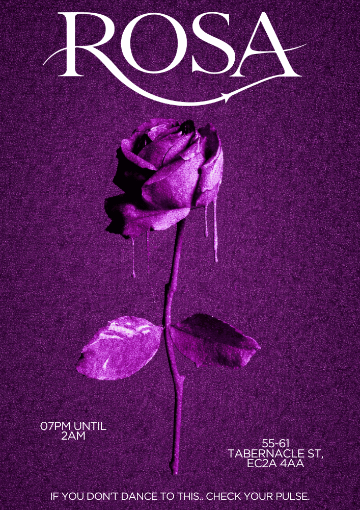 ROSA Debut