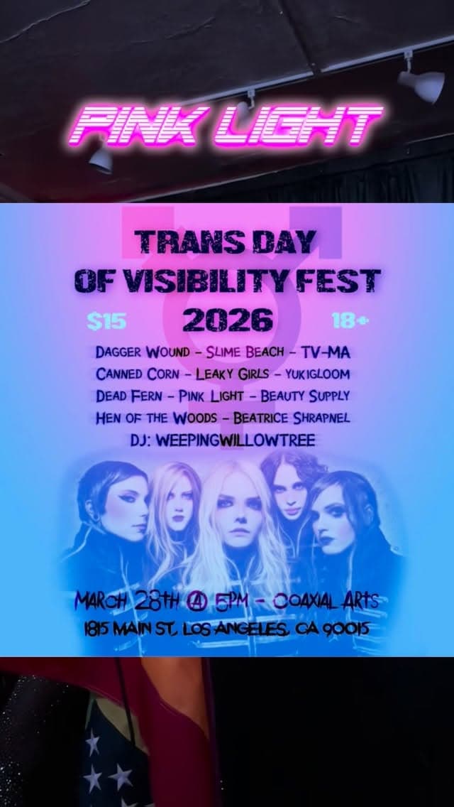Trans Day of Visibility Fest 2026