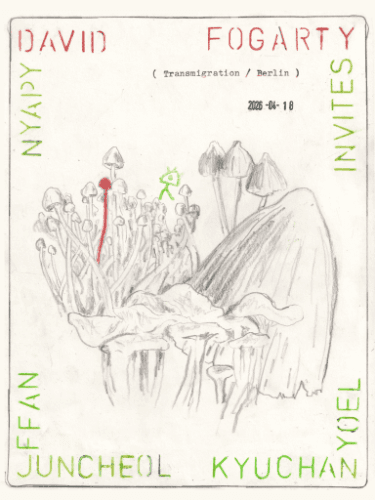 Nyapi invites David Fogarty (Transmigration / BER)