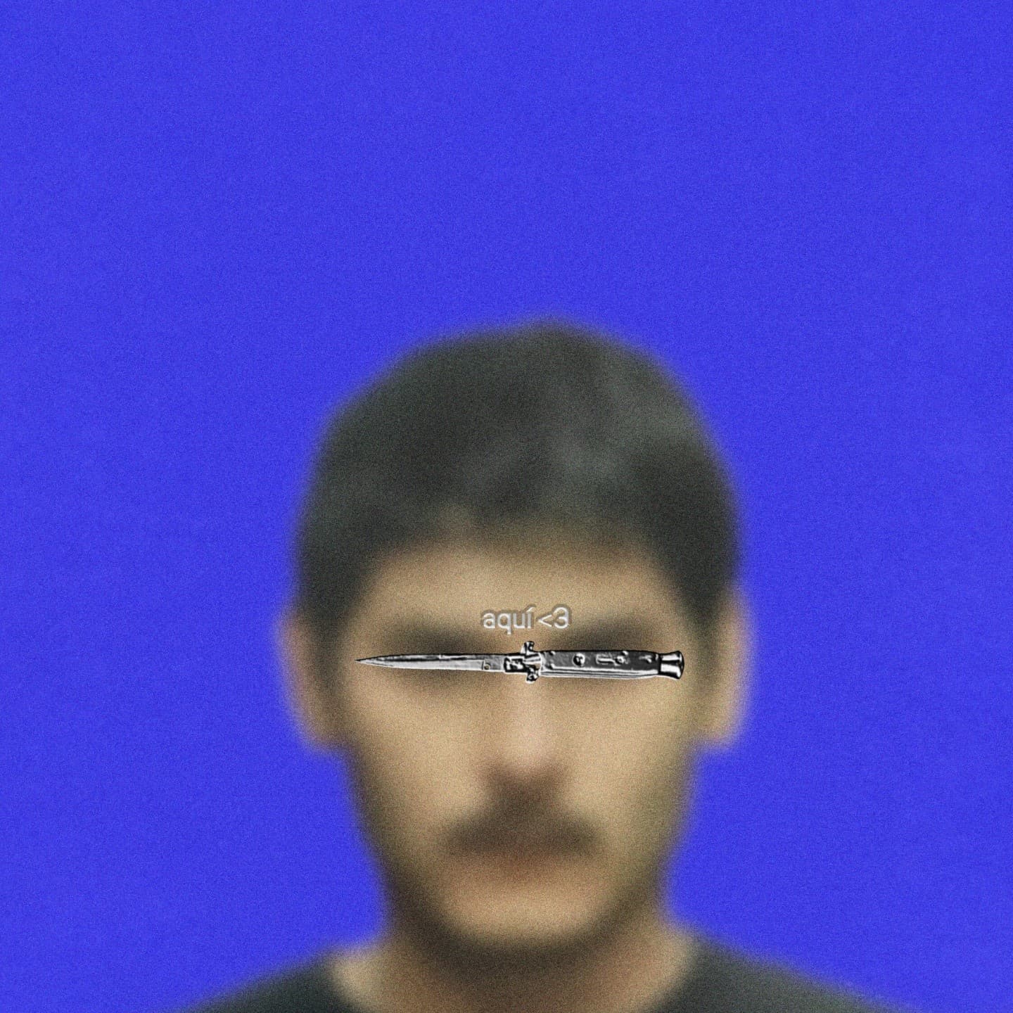 Verraco