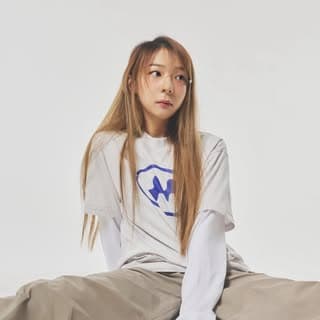 HOWMINI