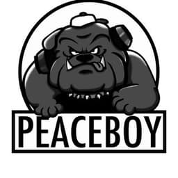 DJ Peace Boy