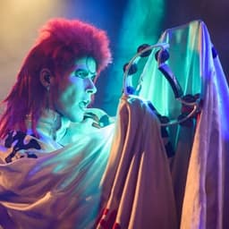 Absolute Bowie